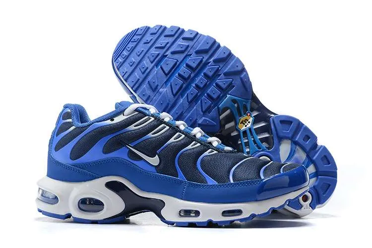 air-max-plus-tn-artic-chill-1.webp