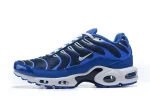 AIR MAX PLUS TN ‘ARTIC CHILL’