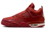 Jordan 4 Bike