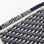 CD Shorts Monogram Navy Side Stripes